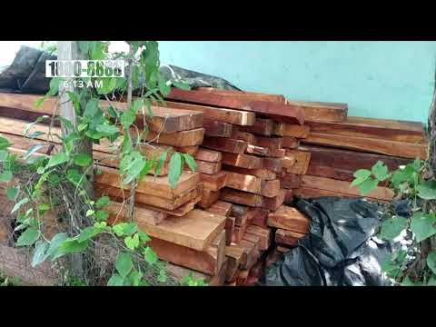 Incautan timbres de madera preciosa en comarca El Anzuelo - Nicaragua