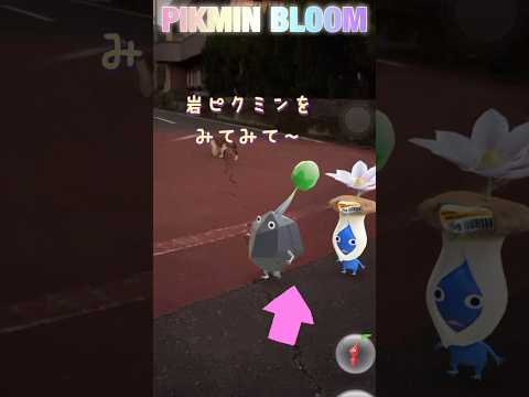 岩ピクミンが猫を追っかけるよ🐈 #pikmin #ピクミンブルーム