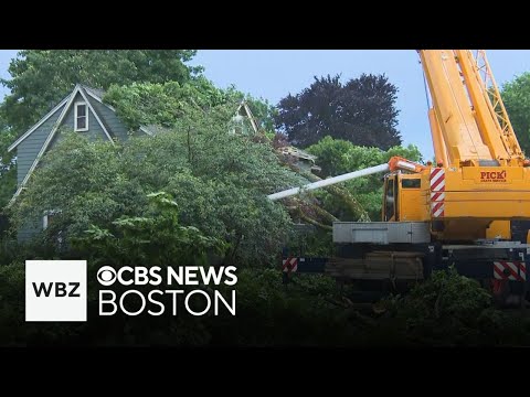 Massachusetts homeowners clean up after fast-moving storm brings down trees