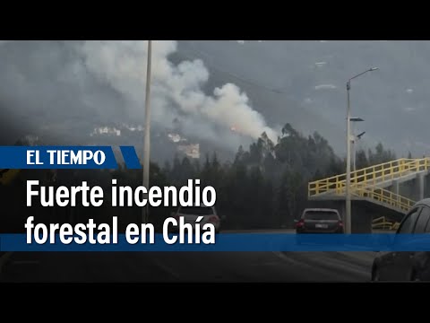 Emergencia por un fuerte incendio forestal en Chía | El Tiempo