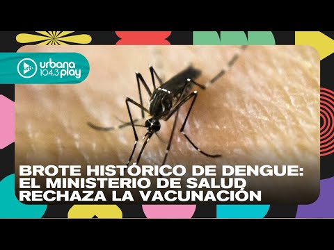 Brote histórico de dengue: el Ministerio de Salud rechaza la vacunación #TodoPasa