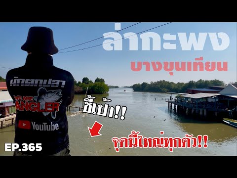 We are Angler channel 🎣🐠WeareAnglerEP.365“ชี้เป้าหมายเด็ดล่าปลากะพงบางขุนเทียน”ตกป