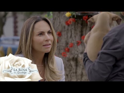 La Rosa de Guadalupe 2024  - Del lado del amor ( Parte 1) HD