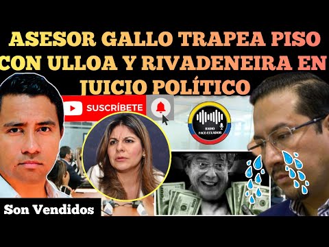 EX ASESOR ALEJANDRO GALLO DEJA EN RIDICUL0 A HERNAN ULLOA Y RIVADENEIRA EN JUICIO POLÍTICO RFE TV