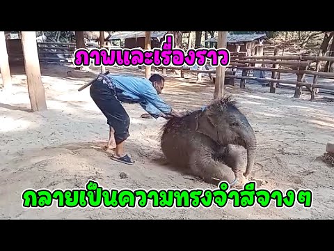 เรื่องราวที่เกิดขึ้นมันเปลี่ยน