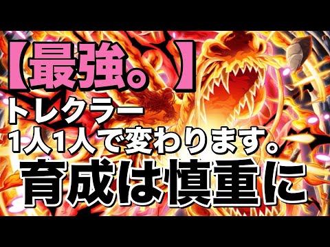 【トレクル】育成は慎重に。最強格はユーザーによって変わります。