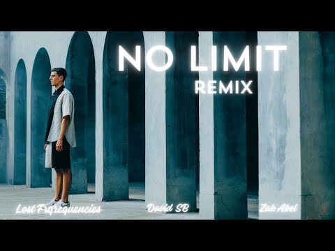 Lost Frequencies & Zak Abel - No Limit (David SB Remix)