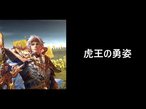 【三国志大戦】虎王の勇姿