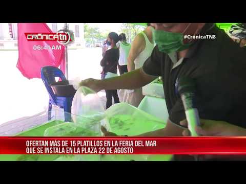 Más de 15 platillos se ofertan en la Feria del Mar en Managua - Nicaragua