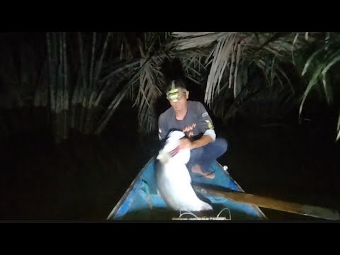 THIS WAS THE FIRST TIME THE BIGGEST BARAMUNDI I GOT WAS RECORDED ON CAMERA. fishing