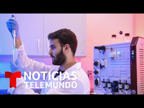 Noticias Telemundo, 1 de julio 2020  | Noticias Telemundo