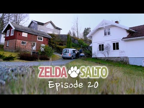 YouTube video thumbnail