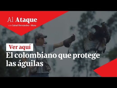 El colombiano que protege las águilas | Al Ataque