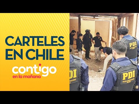 TREN DE ARAGUA:  Los vínculos de carteles internacionales en Chile - Contigo en La Mañana