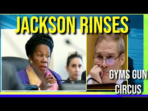 Sheila Jackson Dan Goldman hush down Jim Jordans GOP GUn  Nuts