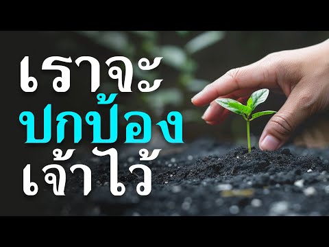 คำเทศนา​เราจะปกป้องเจ้าไว้(2