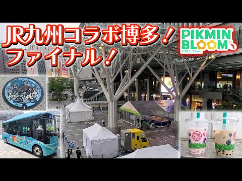 【ピクミンブルーム】JR九州コラボ博多！ファイナル！【Pikmin Bloom】