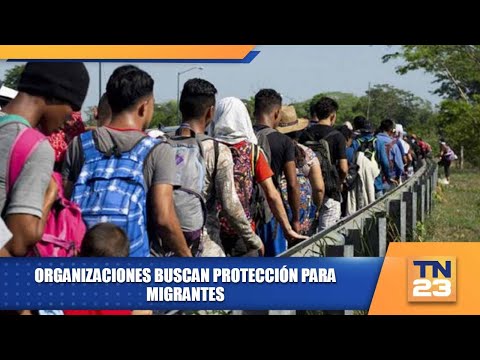 Organizaciones buscan protección para migrantes