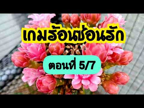 นิยายเสียง-เกมร้อนซ่อนรัก-ตอนท นิยายเสียง-เกมร้อนซ่อนรัก-ตอนท