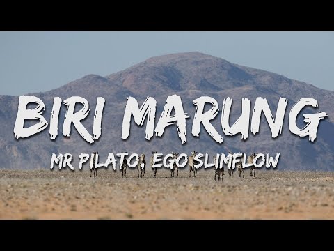 Mr Pilato, Ego Slimflow & Tebogo G Mashego - Biri Marung ft DJ Maphorisa, Focalistic (Lyrics)