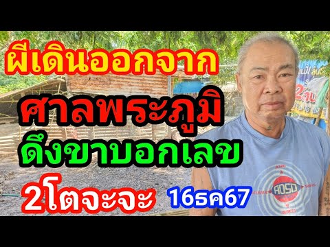 นอนใต้ต้นขามใหญ่ผีเดินออกจากศา