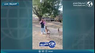 ملكة جمال تورطت