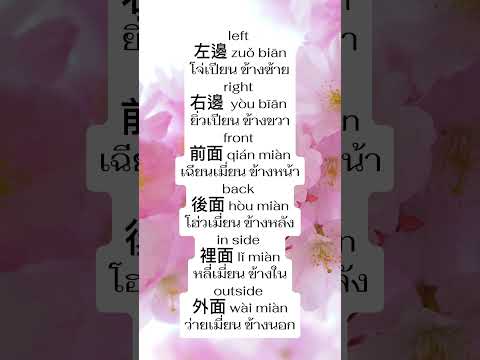 ภาษาจีนวันละคำstudythaistudy