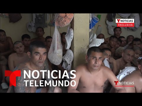Pandilleros en El Salvador conviven en la misma celda | Noticias Telemundo