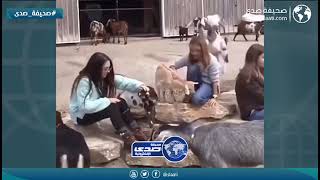 خرب الجلسه على البنات