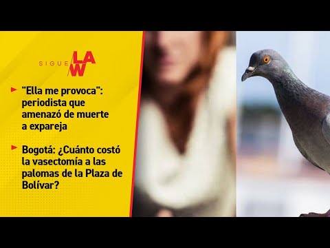#SigueLaW DIGITAL. Ella me provoca: periodista que amenazó a expareja / Vasectomía a palomas