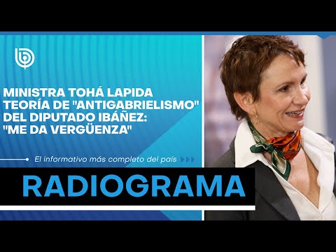 MINISTRA TOHÁ LAPIDA TEORÍA DE ANTIGABRIELISMO del diputado Ibáñez: Me da vergüenza