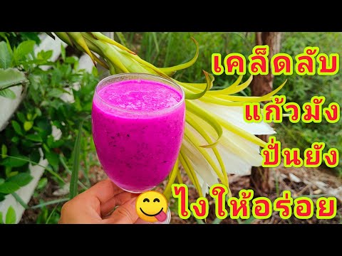 แก้วมังกรปั่นง่ายๆแสนอร่อย-Dra แก้วมังกรปั่นง่ายๆแสนอร่อย-Dra