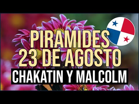Pirámide Lotería de Panamá Miércoles 23 de Agosto 2023  - Pirámide de Chakatin y Malcolm Ramos