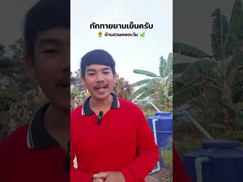 สวัสดียามเย็นอากาศดีๆที่บ้านสว