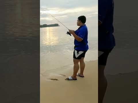 หมึกใหญ่ตกหมึกน้ำลึกfishing