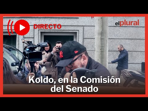 DIRECTO| Koldo García en la Comisión de Investigación del Senado