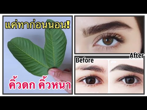 ทำยังไงให้ขนคิ้วขึ้นเร็ว-ปลูกค ทำยังไงให้ขนคิ้วขึ้นเร็ว-ปลูกค
