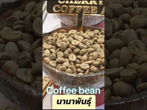 นานาพันธุ์Coffeebean@GroupO