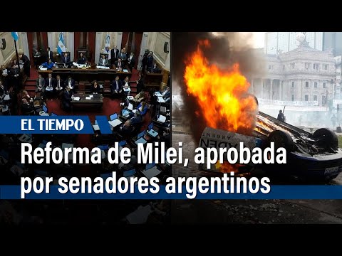 Reforma de Milei fue aprobada por senadores argentinos tras disturbios, irá a diputados