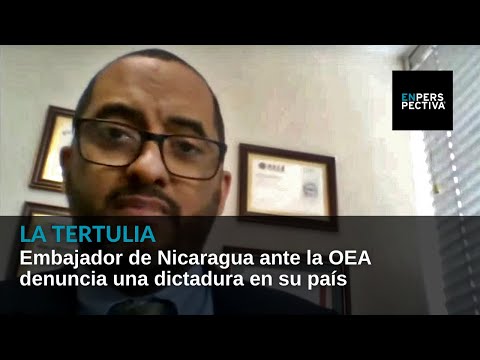 Embajador de Nicaragua ante la OEA denuncia una dictadura en su país