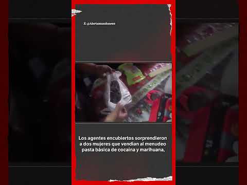 Perú: policía se disfrazó de oso por San Valentín para capturar a dos mujeres | El Espectador