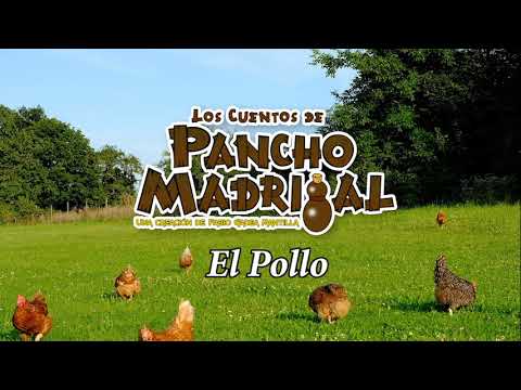 Cuentos de Pancho Madrigal - El Pollo - Alcaldes de antaño