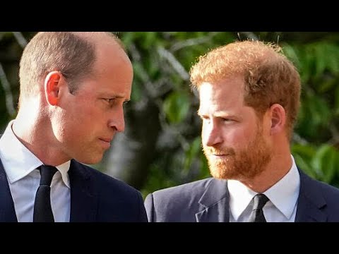 « Triste et désemparé » : le prince William refuse le retour de son frère Harry au Royaume-Uni