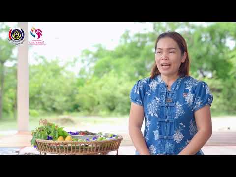 กลุ่มอาชีพกองทุนพัฒนาบทบาทสตรี กลุ่มอาชีพกองทุนพัฒนาบทบาทสตรี