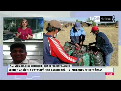 Noticias Mañana | Iván Mena, director del Seguro y Fomento del Financiamiento Agrario - 11/01/2023