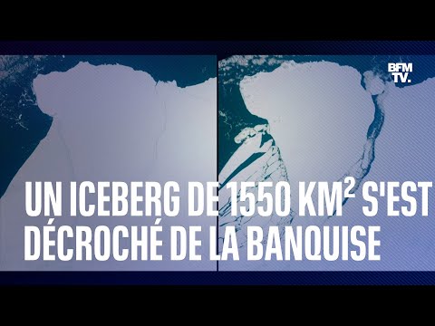 En Antarctique, un iceberg de 1550 km² s'est décroché de la banquise
