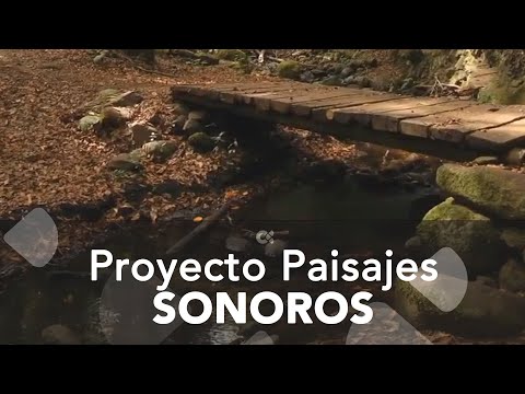 La Gomera en el proyecto Paisajes Sonoros