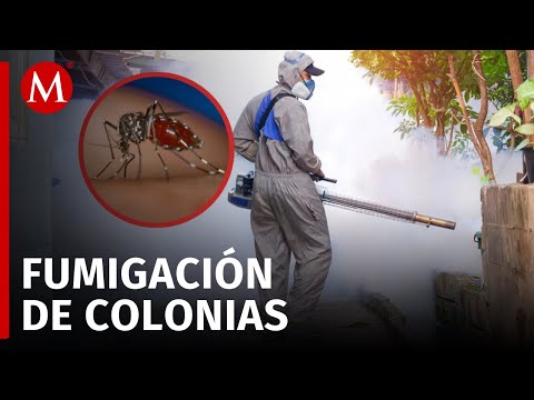 Colima refuerza acciones contra el dengue, zika y chikungunya
