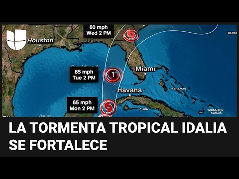 En un minuto: La tormenta tropical Idalia se fortalece mientras avanza hacia Florida