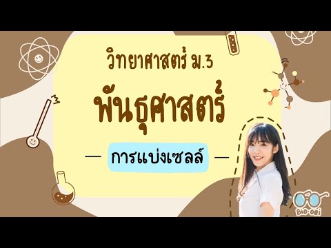 สรุปพันธุศาสตร์ม.3-การแบ่ง